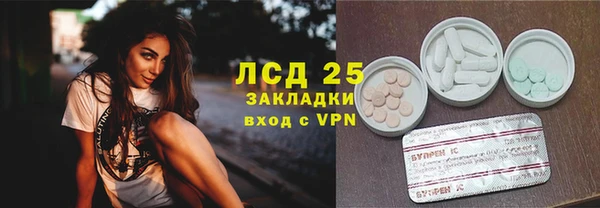 гидра Алексеевка